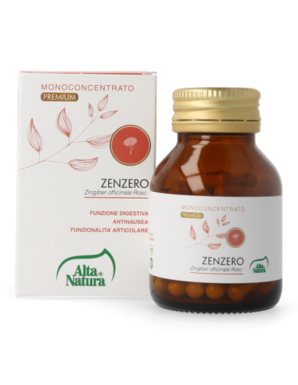 ZENZERO